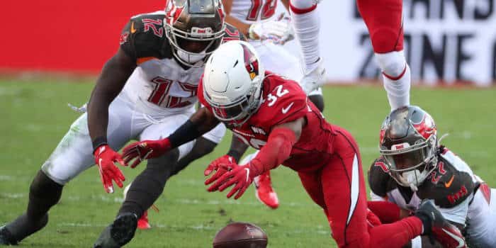 Melanie Porter Fact-checked by Stoyan Todorov Arizona Steps Up